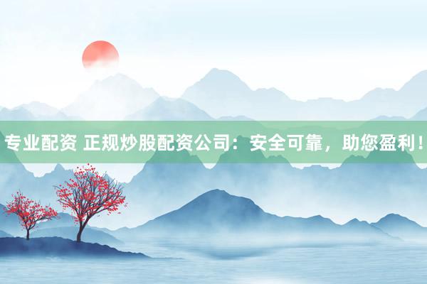 专业配资 正规炒股配资公司：安全可靠，助您盈利！