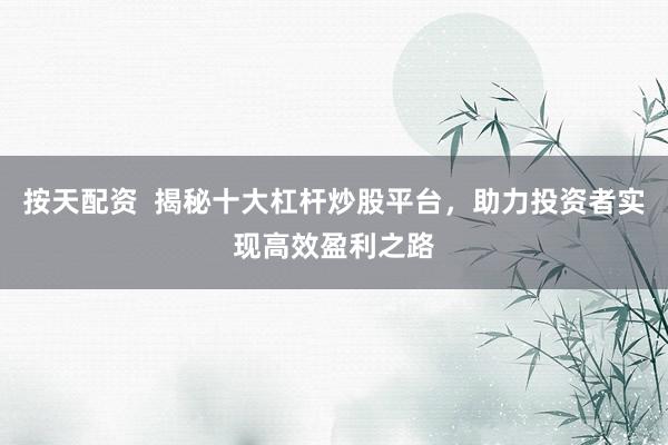 按天配资  揭秘十大杠杆炒股平台，助力投资者实现高效盈利之路