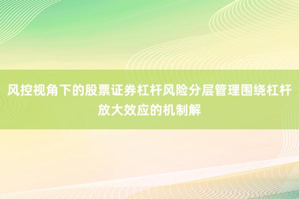 风控视角下的股票证券杠杆风险分层管理围绕杠杆放大效应的机制解